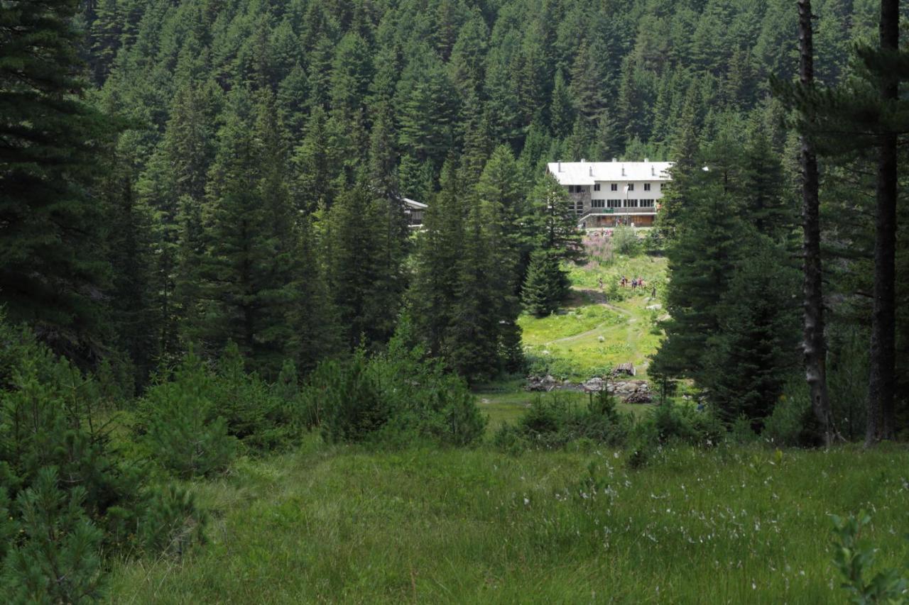 Хижа "Скакавица" Panichishte Exterior photo